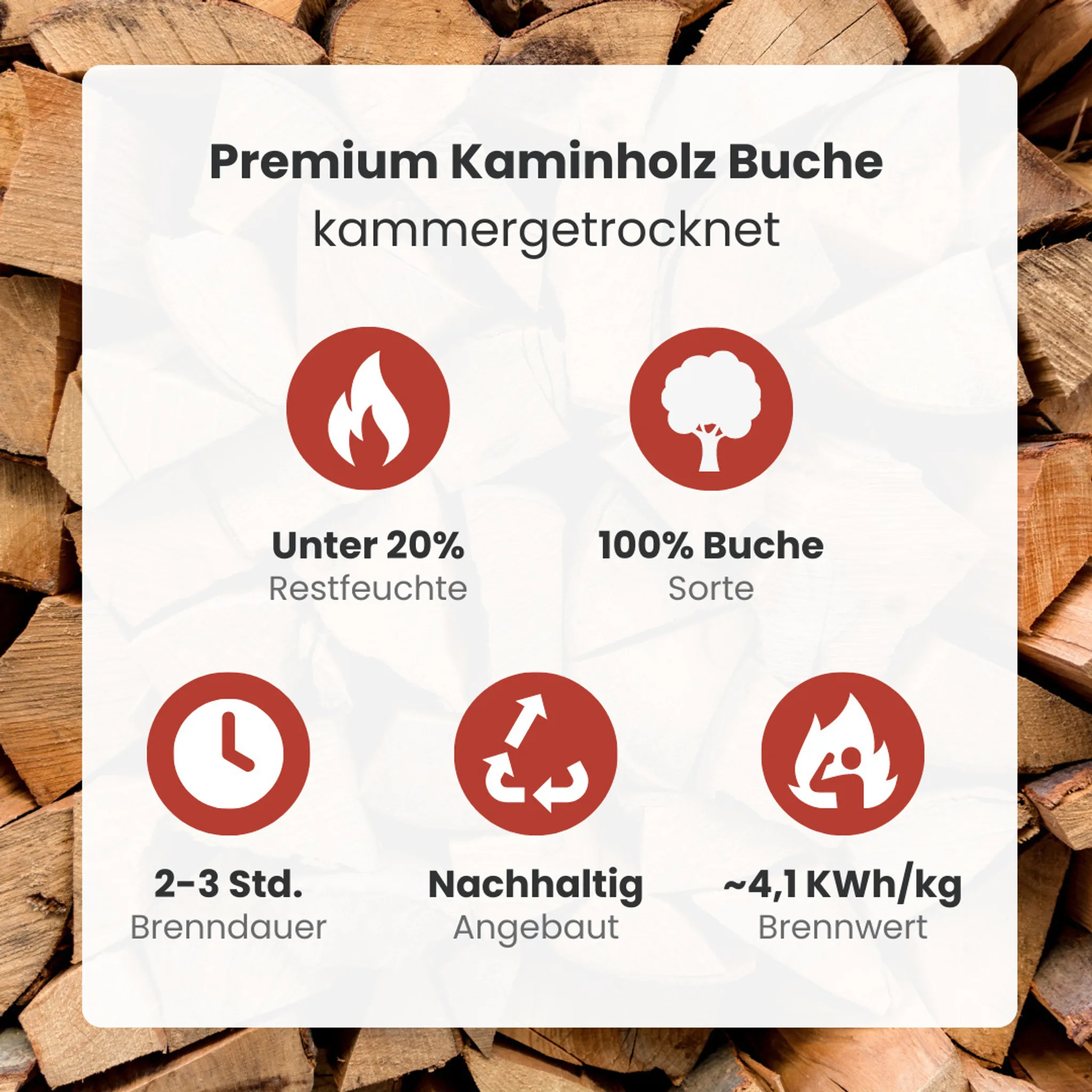 1 RM Premium Buchen Brennholz 25cm kammergetrocknet auf Palette 500kg