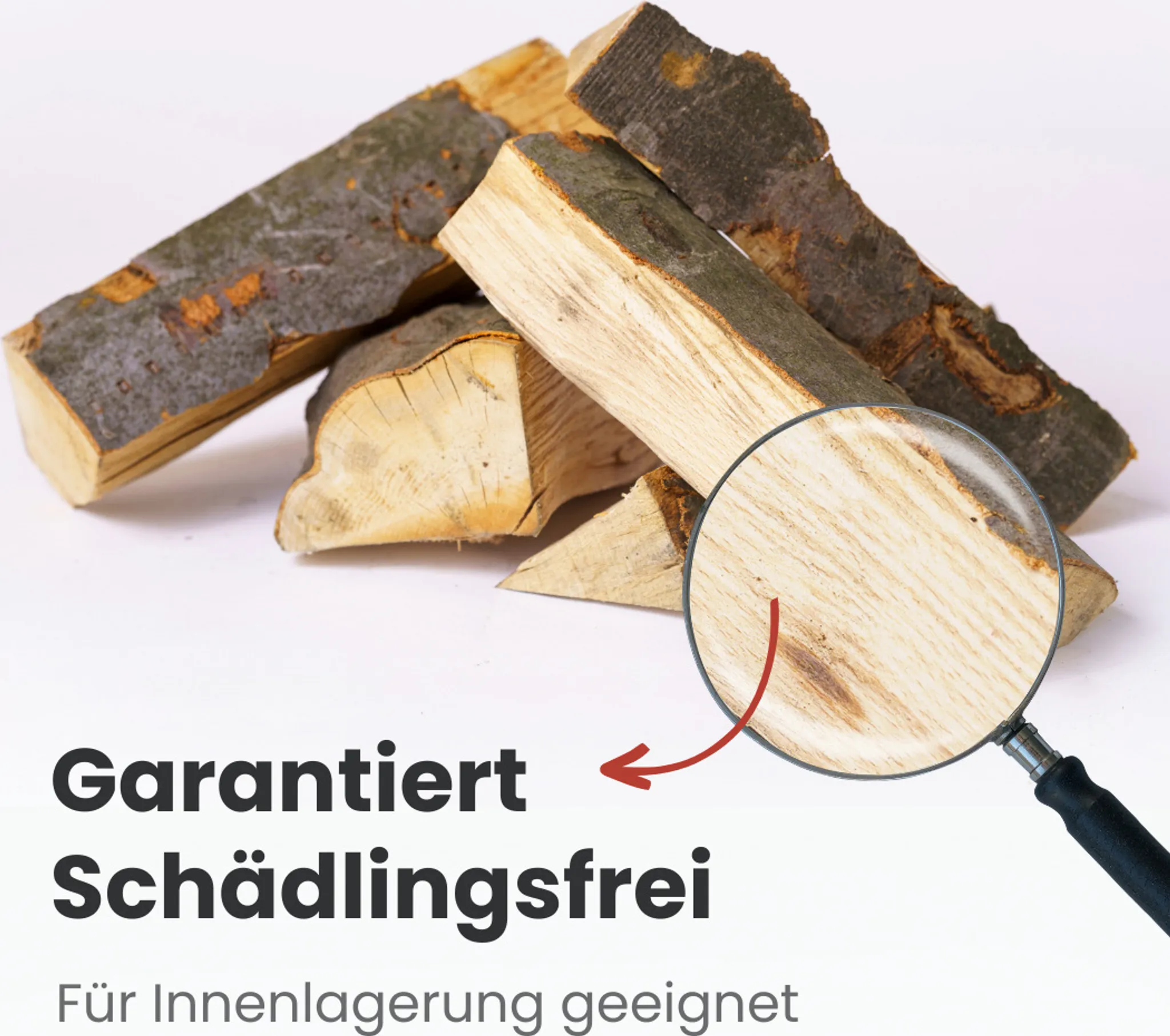 1 RM Premium Buchen Brennholz 25cm kammergetrocknet auf Palette 500kg