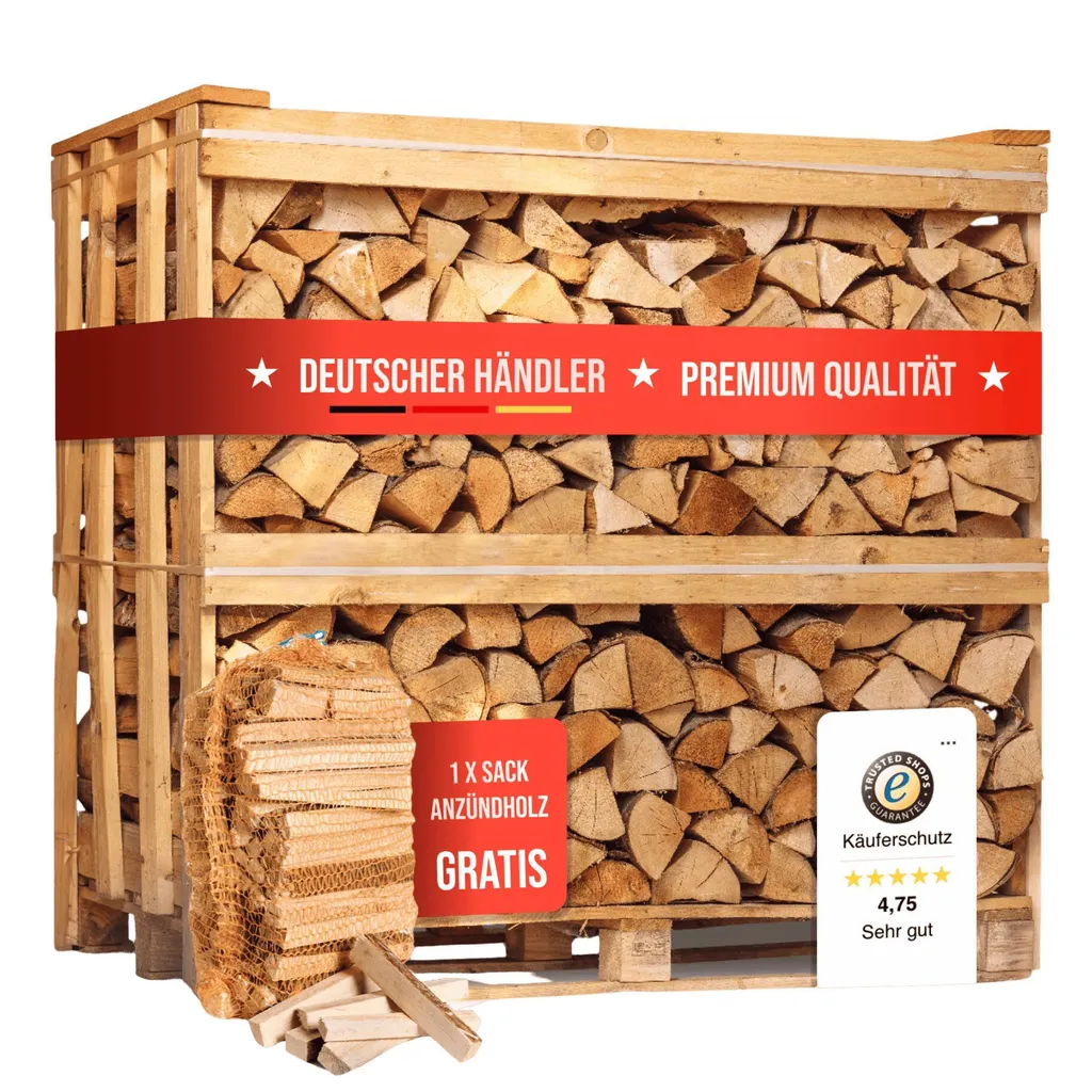 1 RM Premium Buchen Brennholz 25 cm – Kammergetrocknet auf Palette (ca. 500 kg / 1,6 SRM)